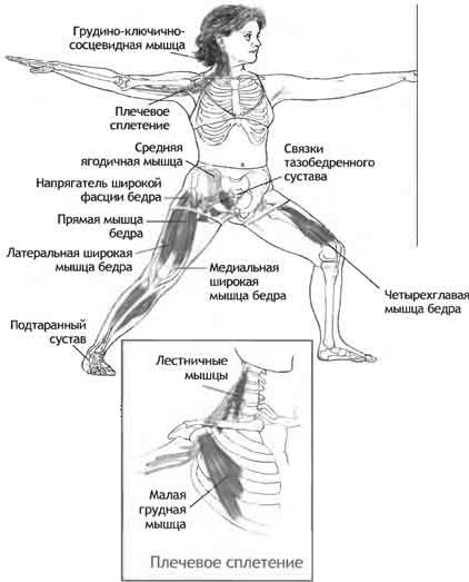  II.   1.   