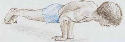  ( )   