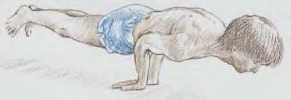  ( )   